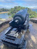 Historical Cannon